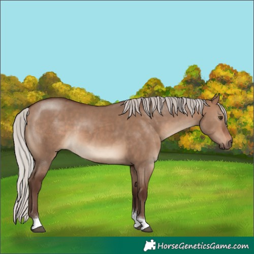 Horse Color:Silver Brown Dun Tobiano Rabicano