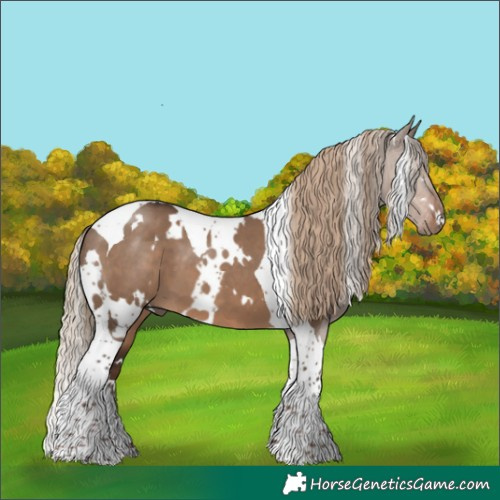 Horse Color:White Spotted Liver Red Dun Tobiano