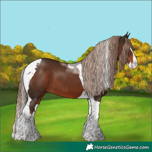 Horse Color:Liver Chestnut Splash Tobiano 