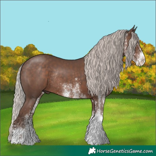Horse Color:White Spotted Silver Black Rabicano