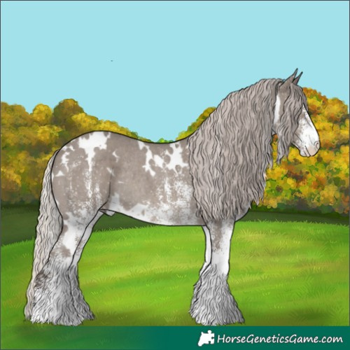 Horse Color:White Spotted Silver Grullo Rabicano