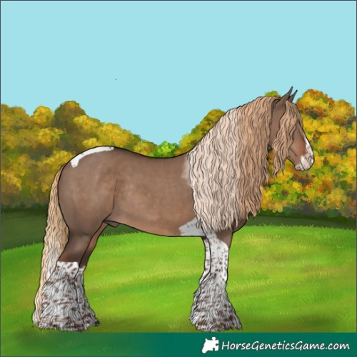 Horse Color:Liver Red Dun Splash Tobiano Rabicano