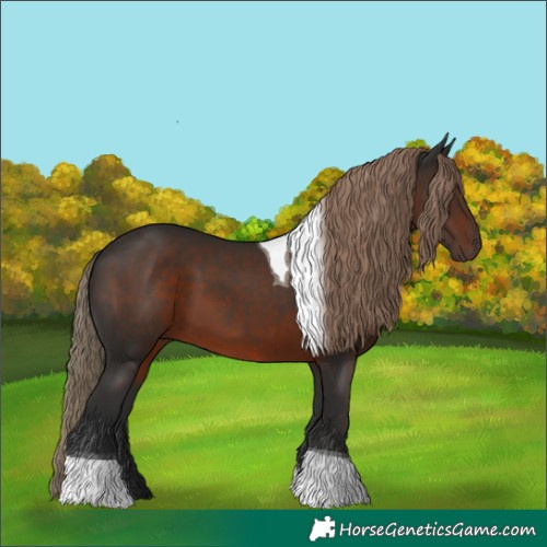 Horse Color:Liver Chestnut Tobiano Rabicano