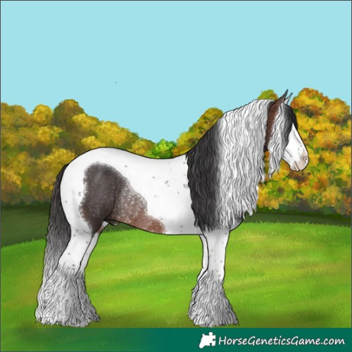 Horse Color:Brown Splash Tobiano Rabicano
