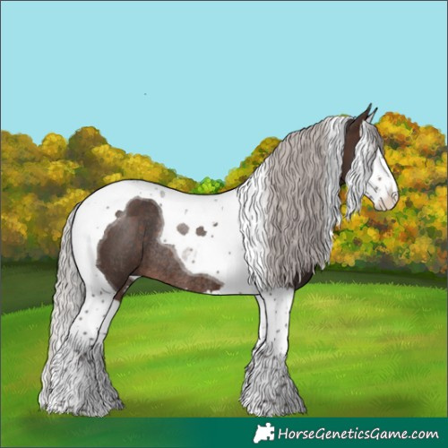 Horse Color:Silver Brown Splash Tobiano Rabicano 