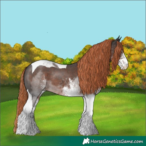 Horse Color:White Spotted Liver Chestnut Tobiano Rabicano