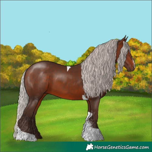 Horse Color:Silver Brown Sabino Tobiano Rabicano 