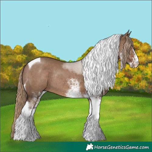 Horse Color:White Spotted Liver Red Dun Tobiano Rabicano