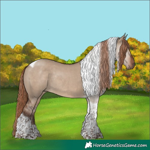 Horse Color:Liver Red Dun Tobiano Rabicano 