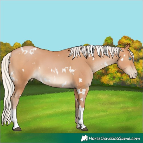 Horse Color:White Spotted Silver Bay Pearl