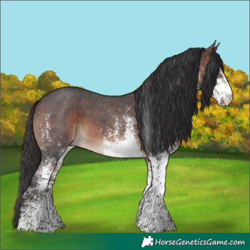 Horse Color:White Spotted Brown