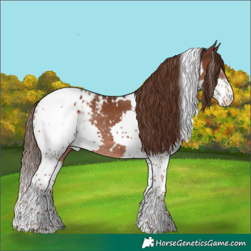 Horse Color:White Spotted Liver Chestnut Splash Tobiano Appaloosa 