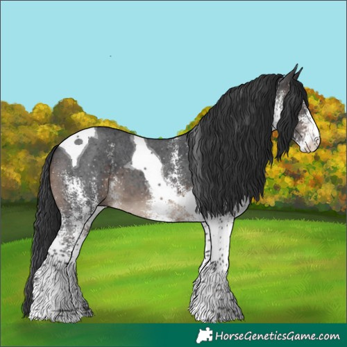 Horse Color:White Spotted Brown Tobiano 