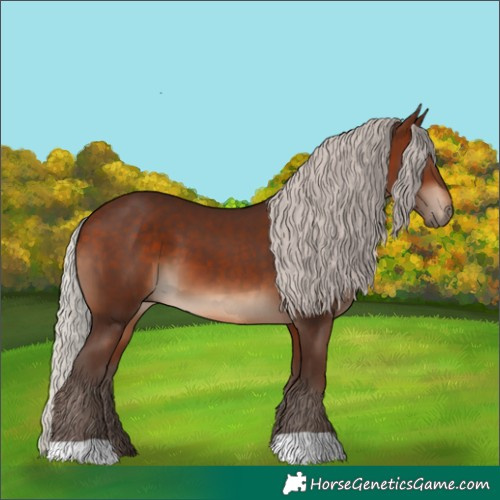 Horse Color:Silver Brown