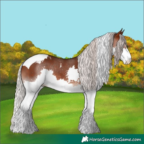 Horse Color:Silver Brown Splash Tobiano Appaloosa