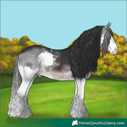 Horse Color:Brown Splash 
