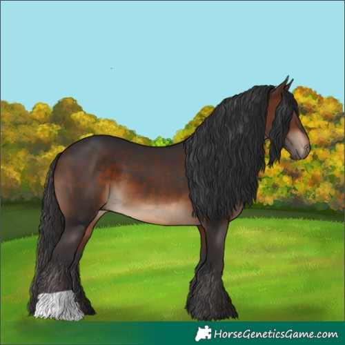 Horse Color:Brown 