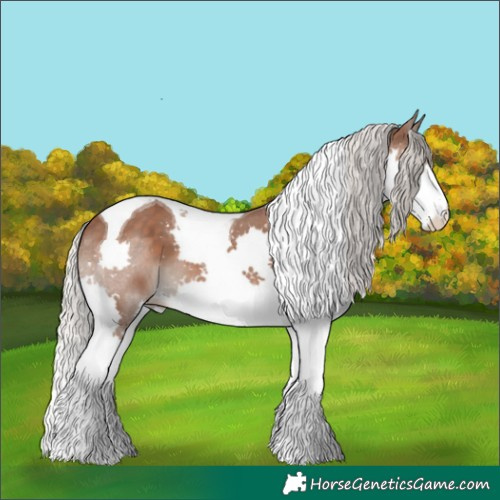 Horse Color:Silver Black Splash Tobiano 