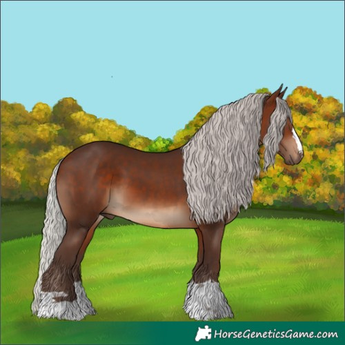 Horse Color:Silver Brown