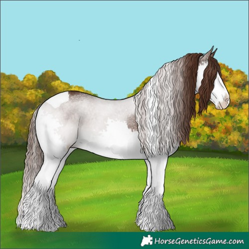 Horse Color:Liver Chestnut Splash Tobiano 