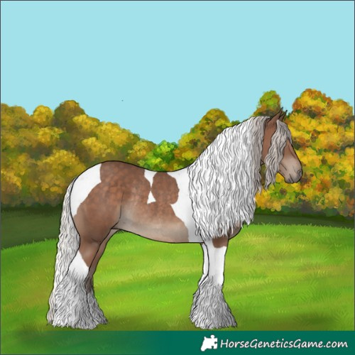 Horse Color:Silver Black Tobiano Rabicano 