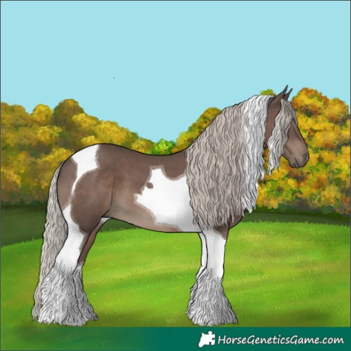 Horse Color:Silver Black Tobiano