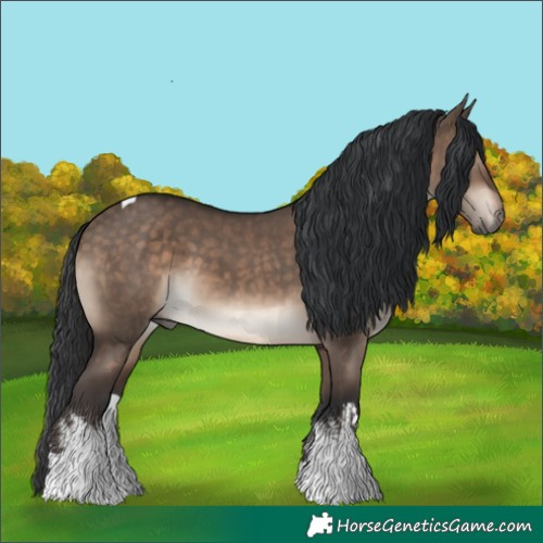Horse Color:White Spotted Brown Dun Tobiano