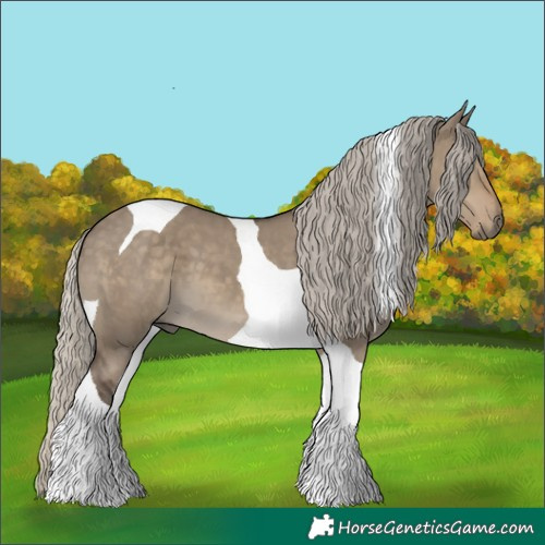 Horse Color:Silver Smoky Grullo Tobiano
