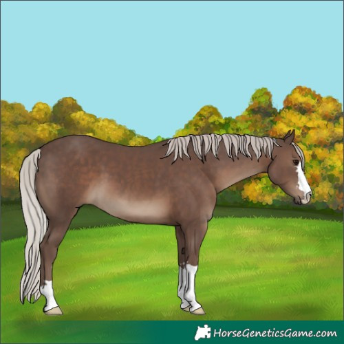 Horse Color:Silver Black 