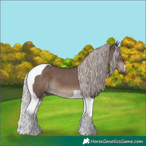 Horse Color:Silver Black Tobiano 