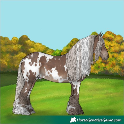 Horse Color:White Spotted Silver Black 