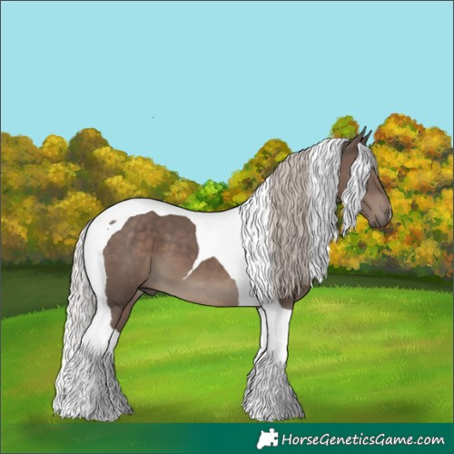 Horse Color:Silver Black Tobiano 