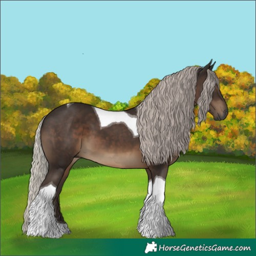 Horse Color:Gray Silver Black Tobiano 