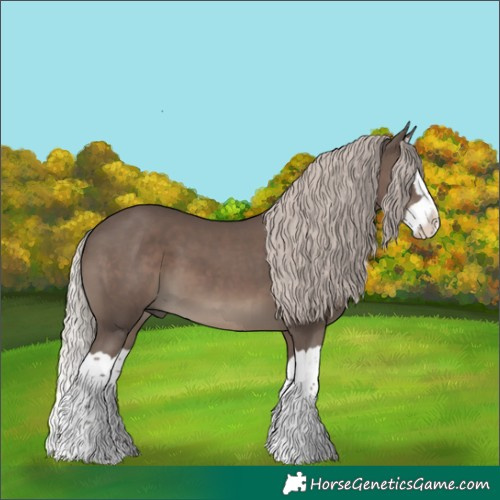 Horse Color:Silver Black Splash 