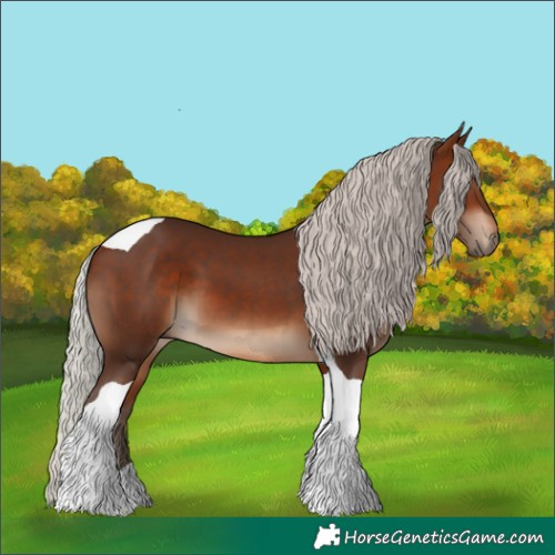 Horse Color:Silver Brown Tobiano