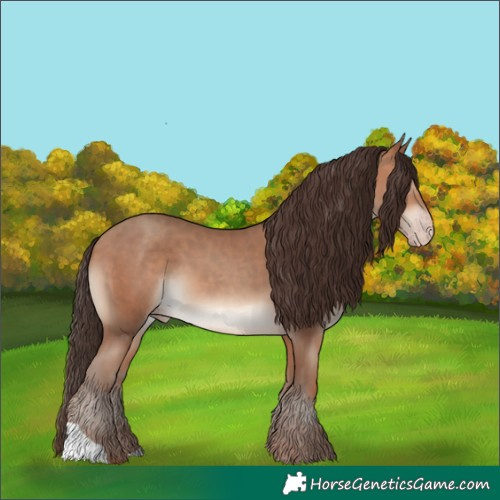 Horse Color:Sable Champagne 