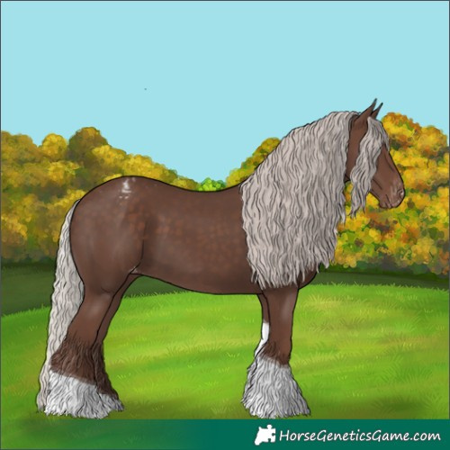 Horse Color:Silver Black Tobiano Appaloosa