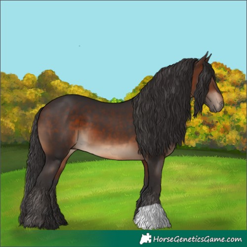 Horse Color:Brown 