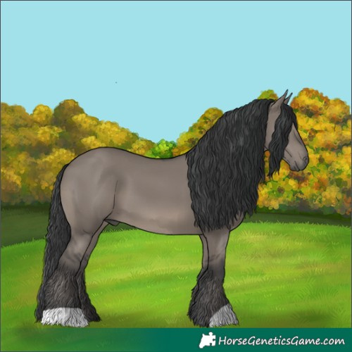 Horse Color:Grullo