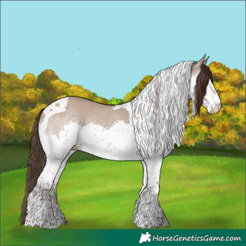 Horse Color:Liver Red Dun Splash Tobiano Rabicano