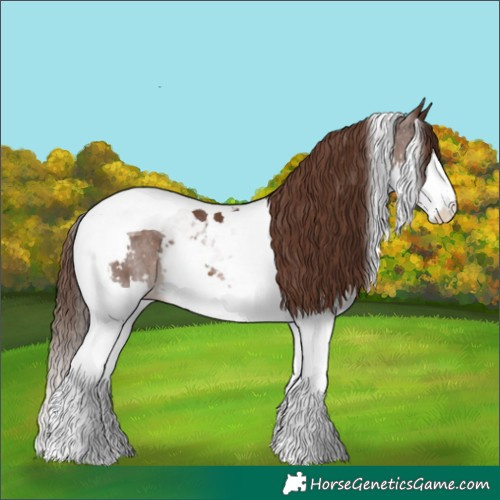 Horse Color:Liver Chestnut Splash Tobiano 