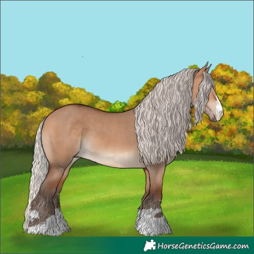 Horse Color:Silver Bay Dun