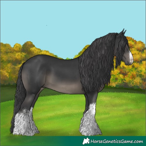Horse Color:White Spotted Black