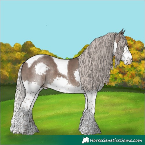 Horse Color:Silver Black Splash Tobiano 