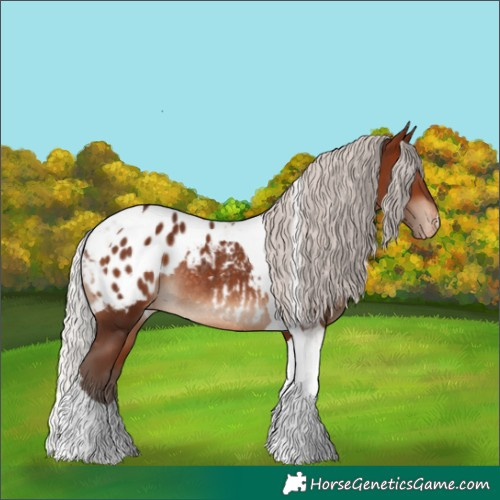 Horse Color:Silver Brown Tobiano Near Leopard Rabicano