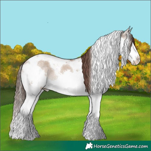 Horse Color:Liver Red Dun Splash Tobiano