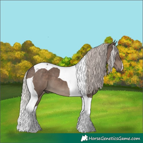 Horse Color:Silver Black Tobiano