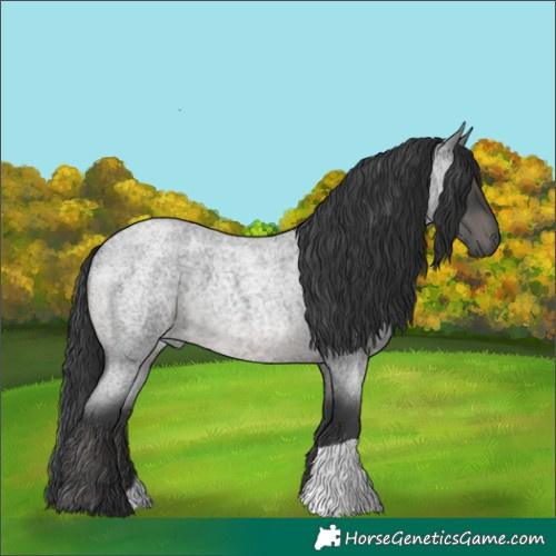 Horse Color:Blue Roan