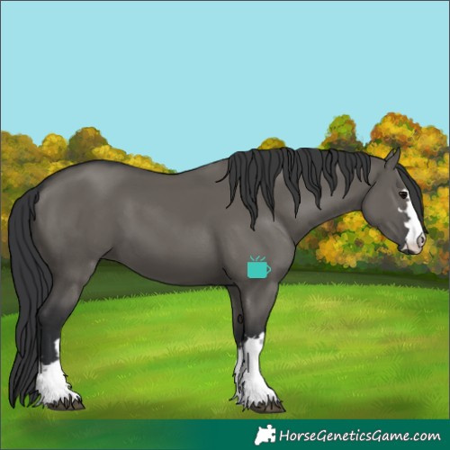 Horse Color:Grullo 