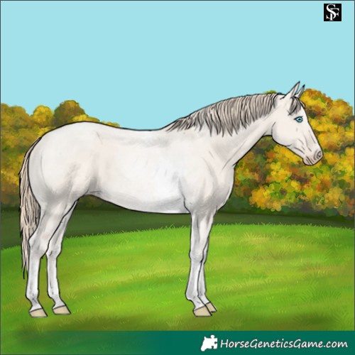 Horse Color:Smoky Creme Dun Tobiano 